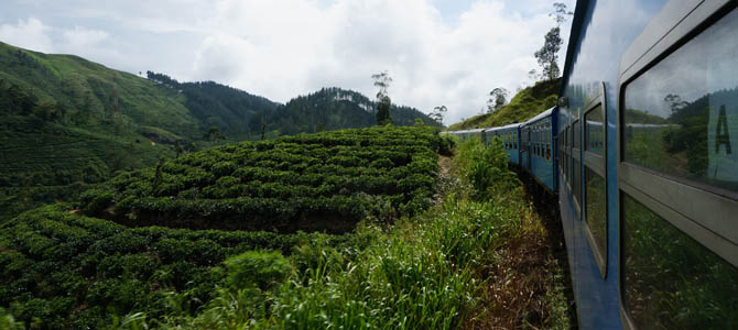 Day 8 – Kandy to Nuwara Eliya Day 8 – Kandy to Nuwara Eliya