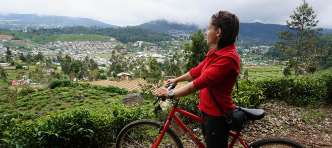 Day 9 – Nuwara Eliya and tea plantations Day 9 – Nuwara Eliya and tea plantations