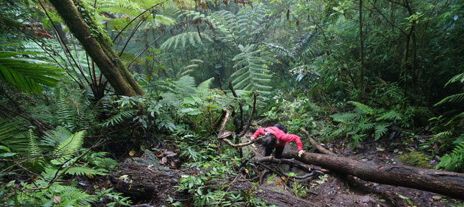 Bali Day 6 – Hiking to the Mangu Temple (2096m) in Bedugul Bali Day 6 – Hiking to the Mangu Temple (2096m) in Bedugul